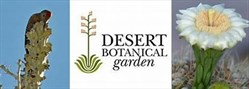 Desert Botanical Gardens VIP Pass